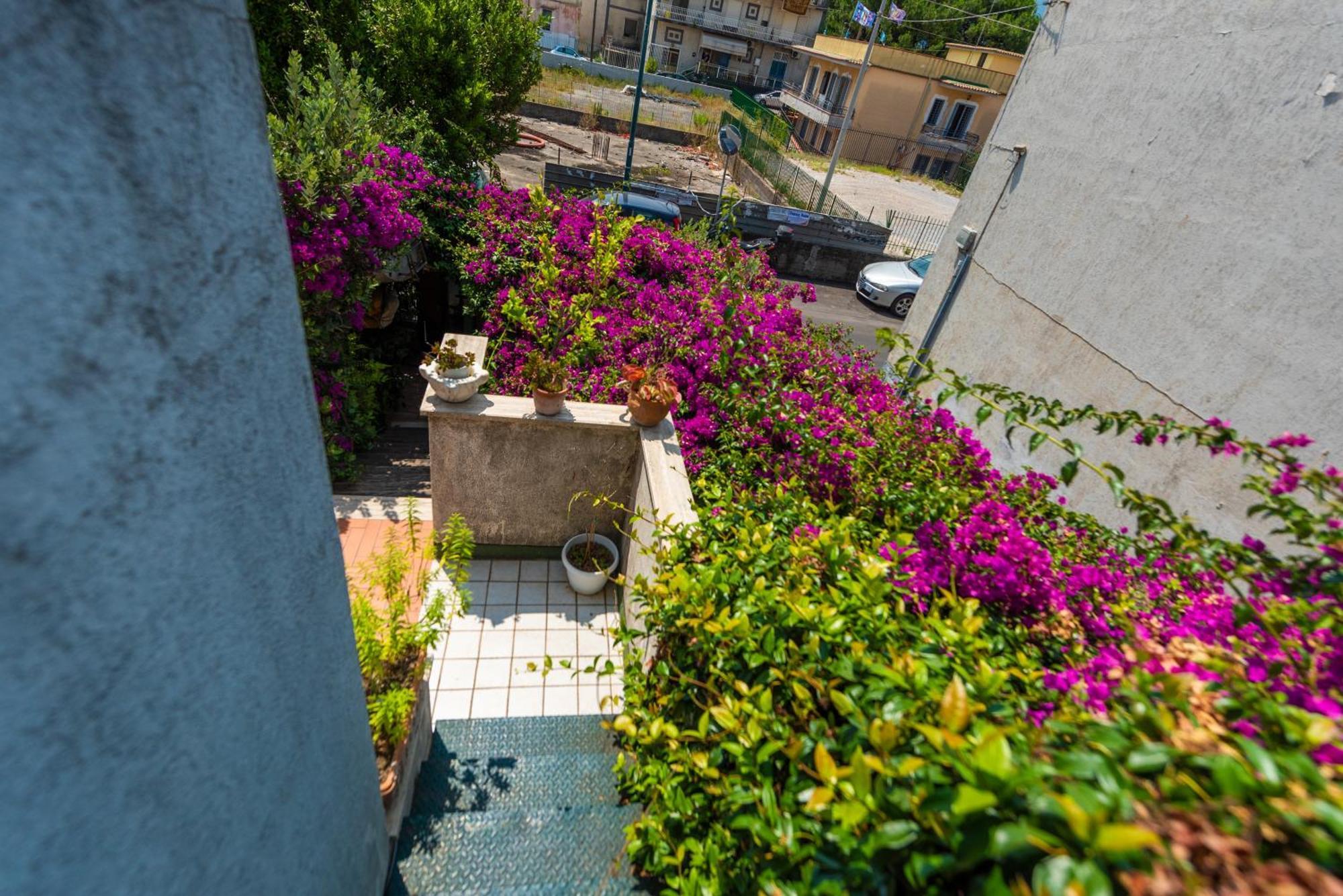 Terra Mia In Terrazza